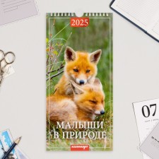 The calendar on the cross 