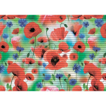 Bathroom mat "Assorted", 50 × 80 cm, color mix