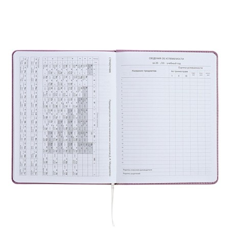 Universal diary for grade 1-11 Mentality, hard cover, artificial leather, liesse, 80 g/m2-10