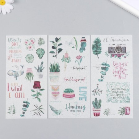 Stickers for creativity Paper "Plants in pots" set 3 sheets 10x20 cm