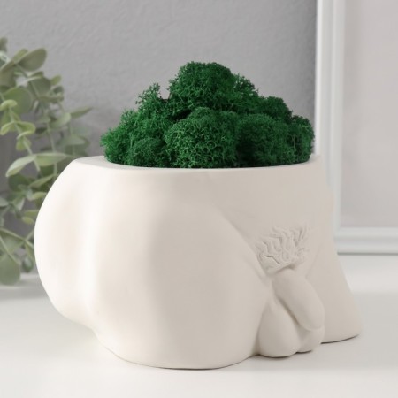 Kashpo concrete "dignity" with moss height 10 cm, width 17 cm white (moss green stabilis)-1