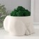 Kashpo concrete "dignity" with moss height 10 cm, width 17 cm white (moss green stabilis)