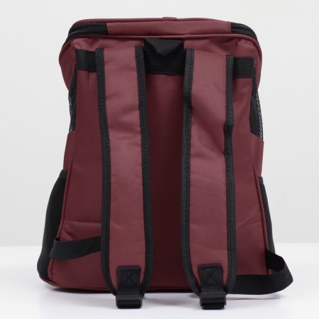 Backpack for carrying animals, 31.5 x 25 x 33 cm, brown-3