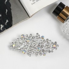 Hair hair clip 