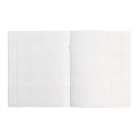 Notebook 12 sheets in a cage is a plain "classic to a point. Economy", covered Cardboard, VD-LK, Block No. 2 (gray sheets), mix-6