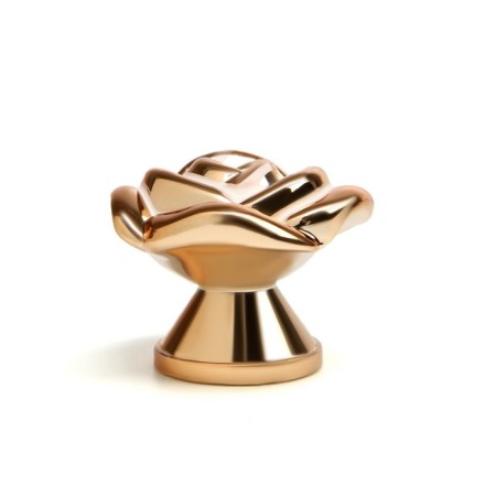 Handle button Cappio Rose 01, white with gold-2