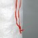 A bag for the harvest, polypropylene, 55 × 95 cm, 50 kg, transparent, with ties