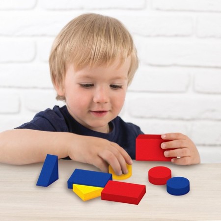 Logical blocks of Dieneesh-1