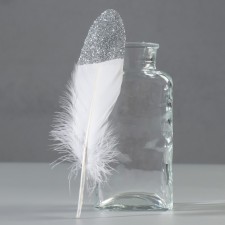 A set of goose feathers 15-20 cm, 10 pcs, white with silver chips
