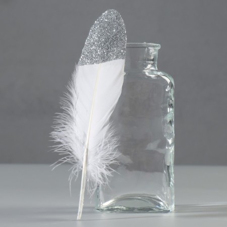 A set of goose feathers 15-20 cm, 10 pcs, white with silver chips