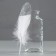 A set of goose feathers 15-20 cm, 10 pcs, white with silver chips