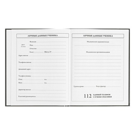 Universal Diary 5-11 classes, 48 ​​sheets "I'm fine", solid cover, matte lamination, block 65g/m2-4