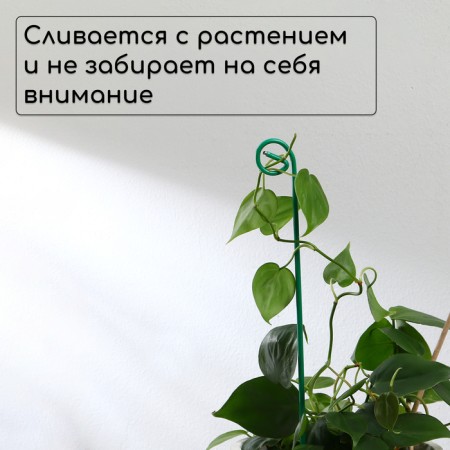 Pegs for garter plants, h = 40 cm, d = 0.3 cm, wire, green, greengo-2