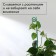 Pegs for garter plants, h = 40 cm, d = 0.3 cm, wire, green, greengo