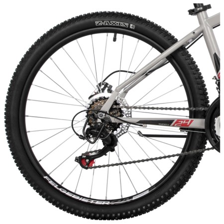 Bicycle 24 "Novatrack Action, Silver Color-2