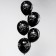 Shar Latex 12 “Halloween”, pastel, set 25 pcs., Black color
