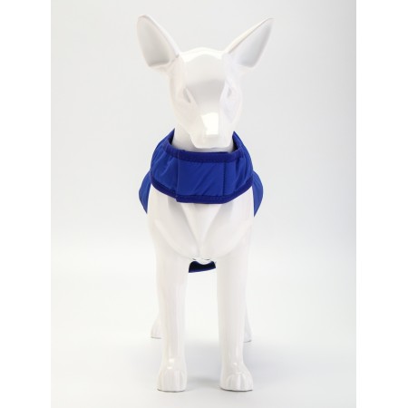 Jacket - bilateral ass, size L (ds 32, og 45 cm, weight 7-10 cm), blue-2