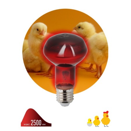 Infrared lamp for heating animals, era, IKZK 230-60 R63, E27, 60 watts