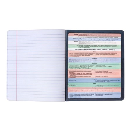 Subject notebook, 48 sheets, ruler, literature Erichkrause "Chubrik", plastic cover silk-screen cover, Blok Offset 100%, information block-4
