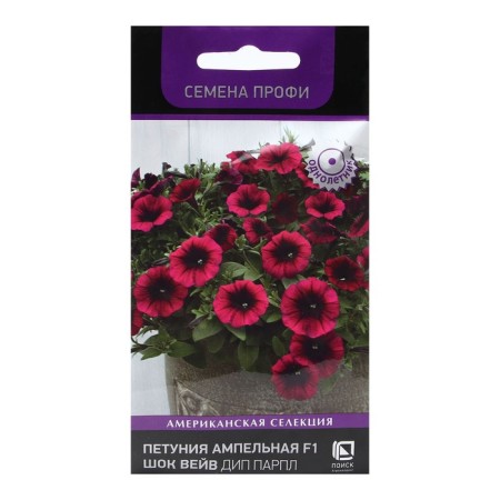 Flowers of Petunia Ampel F1 "Shock Vave Dip Parl" 5 pcs