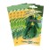 Siberian Express cucumber seeds, set 5 pcs