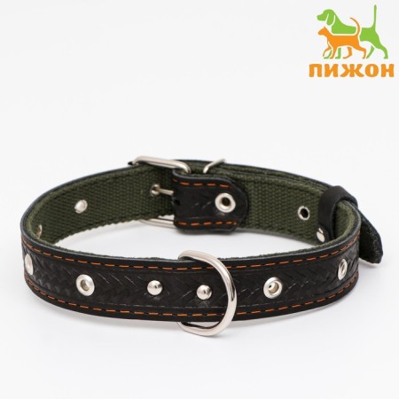 Combined dimensionless collar, leather/tarpaulin, 60 x 3 cm, Osh 30-57 cm, black/green