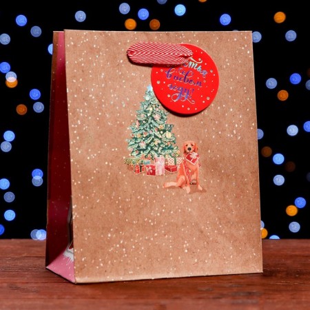 Package Gift craft "Happiness in the New Year" 18 x 22.3 x 10 cm