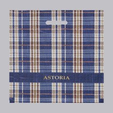 Astoria package, polyethylene with a cut pen, 45 μm, 40 x 47 cm