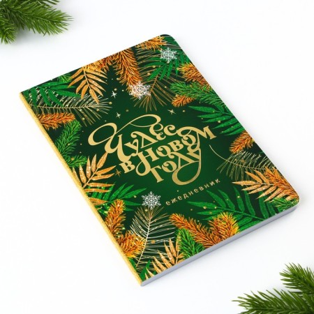 New Year. Diary Soft cover Software Tach, 24 x16.5 cm, 80 sheets of “miracles in the new year”-5