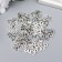 Decor Metal for creativity "Osminog" silver G134B537 2x2.4 cm