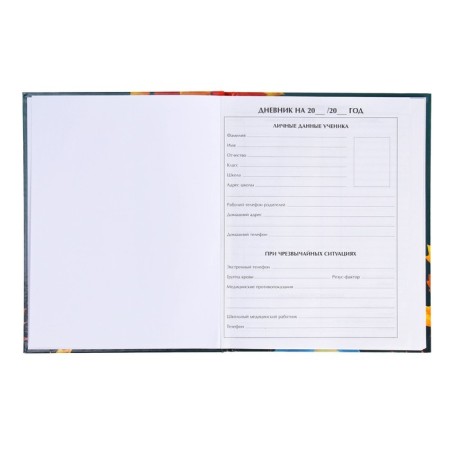 Universal diary for grades 1-11, "school", solid cover 7BC, glossy lamination, 40 sheets-4