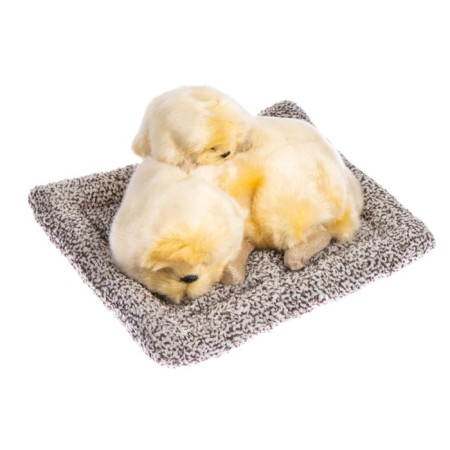Toy on a car panel, dogs on a pillow, beige color