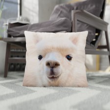 Decorative Ethel Pillow 
