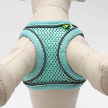 A set with a soft harness, fast-open, XS, leash 150 x 1.5 cm, Osh 29-32 cm, OG 31-34 cm, turquoise-4