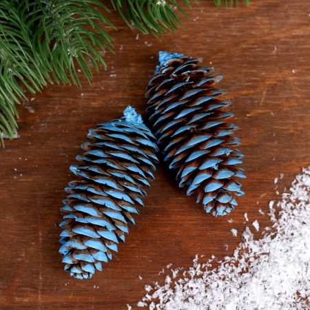 Set of spruce cones "Decor" 2 pcs., Blue