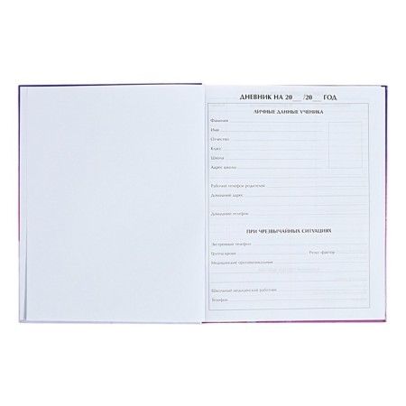 Diary for grades 1-4 "Amazing nearby", solid cover, glossy lamination, 48 sheets-3