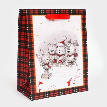 Gift, laminated, "Friends" package, 18 x 23 x 10 cm