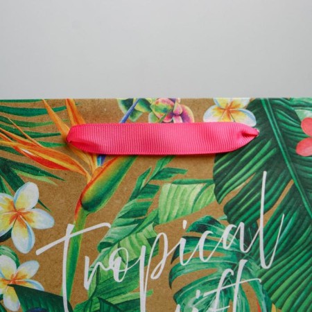 Package Gift Craft Horizontal, Packaging, Tropical Gift, 23 x 18 x 10 cm-2