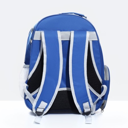 The backpack for carrying animals is transparent, 31 x 28 x 42 cm, blue-2