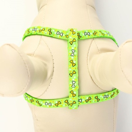 Set "Star Bones", leash 120 x 1 cm, fire 23-35 cm, green-4