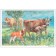 Visual material. Pictures from the life of pets. 3-7 years. GEF.