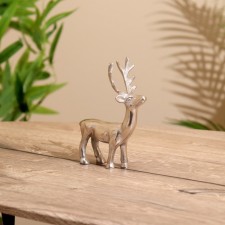 Souvenir 
