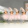 Polystone souvenir "Angel-girl in the pink down jacket" MIX 32x5.5x7 cm