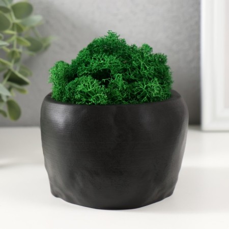 Kashpo concrete "Skull" with moss black 13x9x6.5 cm (moss green stabilized)-2