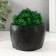 Kashpo concrete "Skull" with moss black 13x9x6.5 cm (moss green stabilized)