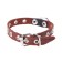 Collar skin -embossed single -layer, 29 x 1.2 cm, dimensionless, mix of flowers