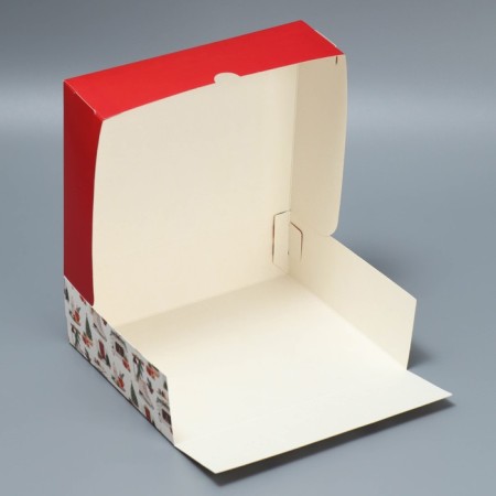 Box for Khugge confectionery, 17 x 20 x 6 cm, New Year-5