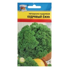 Semen parsley curly 
