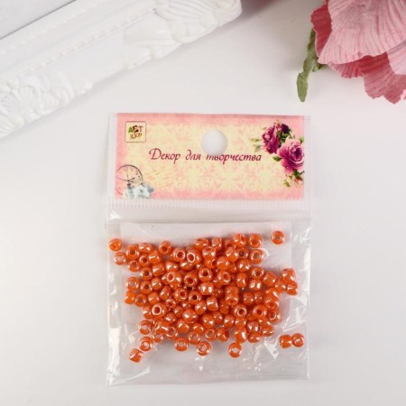 Round beads 6/0 "Orange Neon" 20 g-3