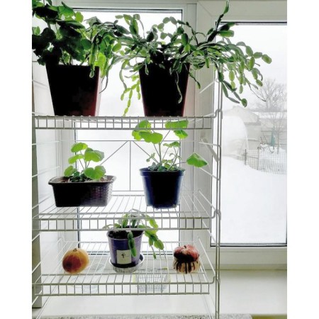 Rabberry for seedlings 33 × 62 × 93 cm, white-1
